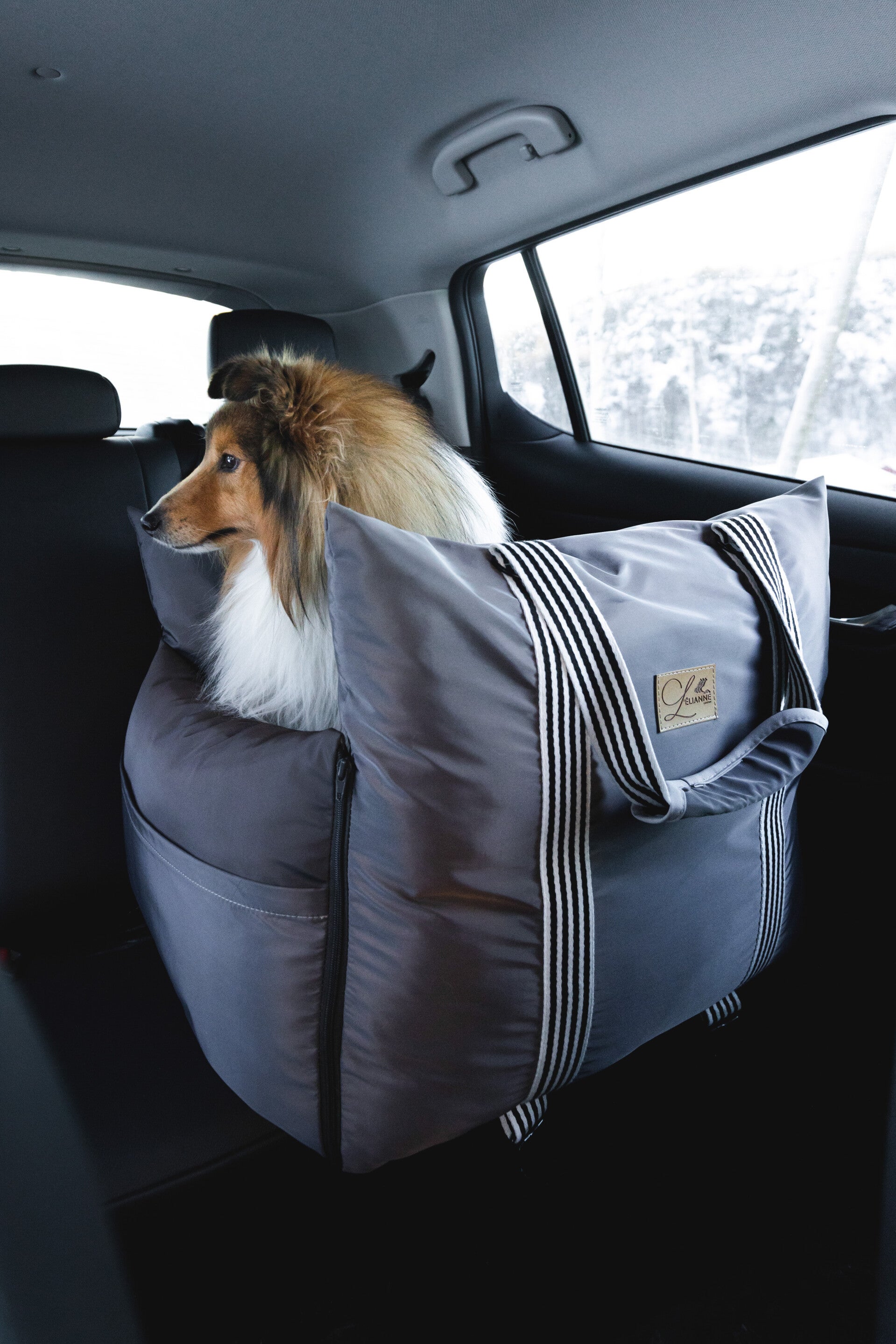 double dog booster seat