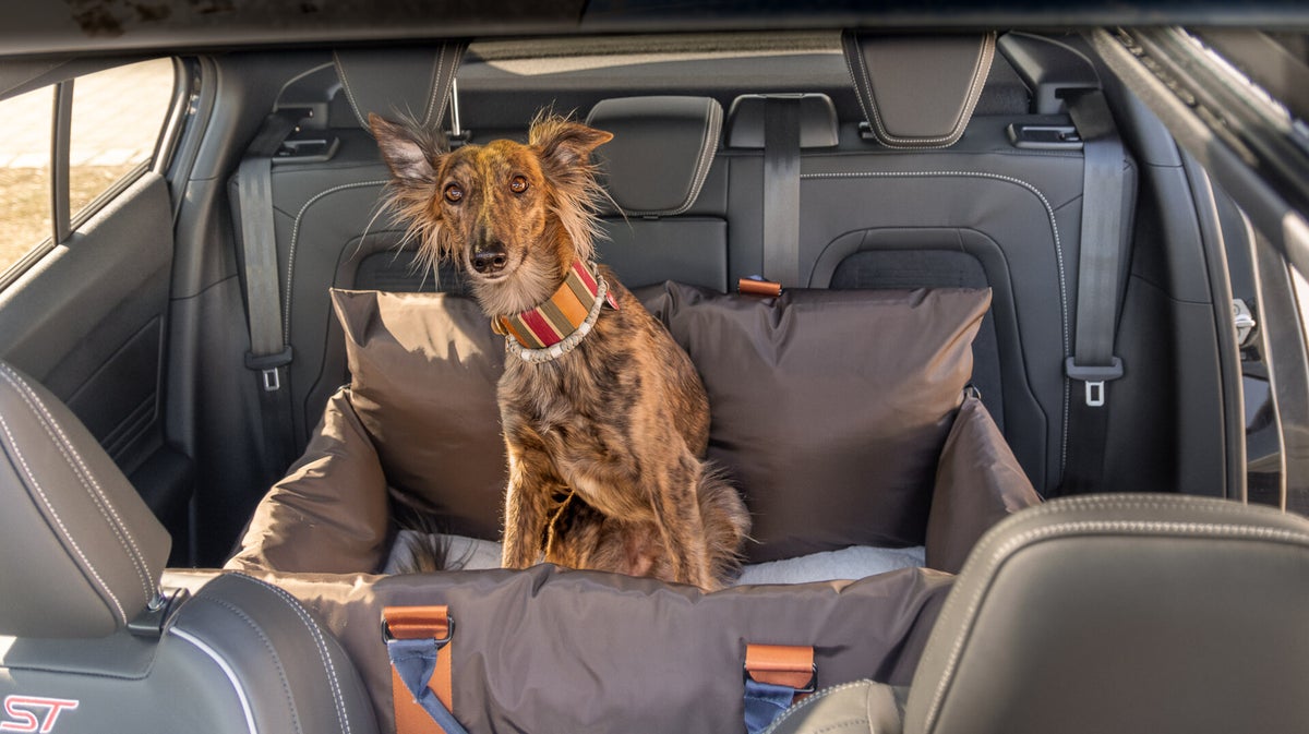 Grote Honden Autostoel | XL Auto Hondenmand – L'élianne