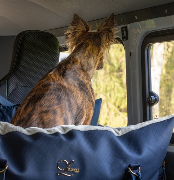 Siège Auto pour Chien – Panier Auto pour Chien – Siège Auto Luxe pour Chien - L’élianne