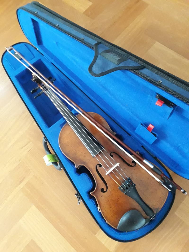 Viool, Gouddenker Dilys Derksen