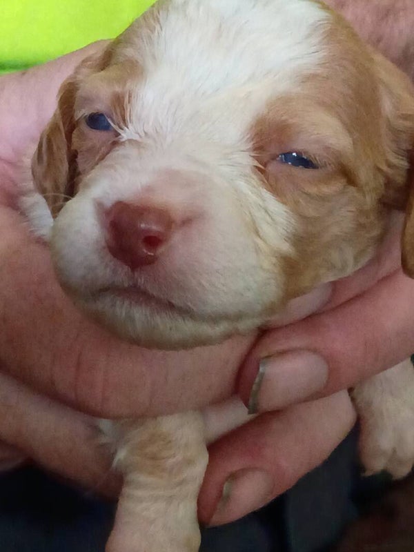 Boy #2