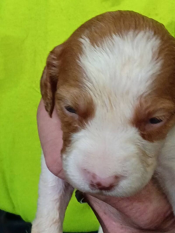 Boy #3