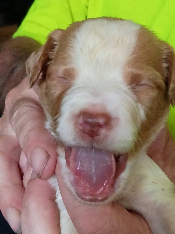 Boy #4