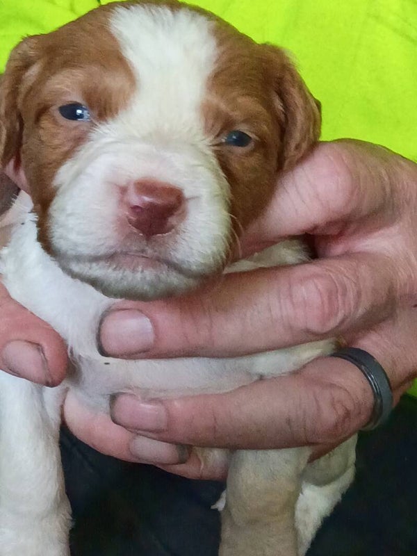 Boy #5