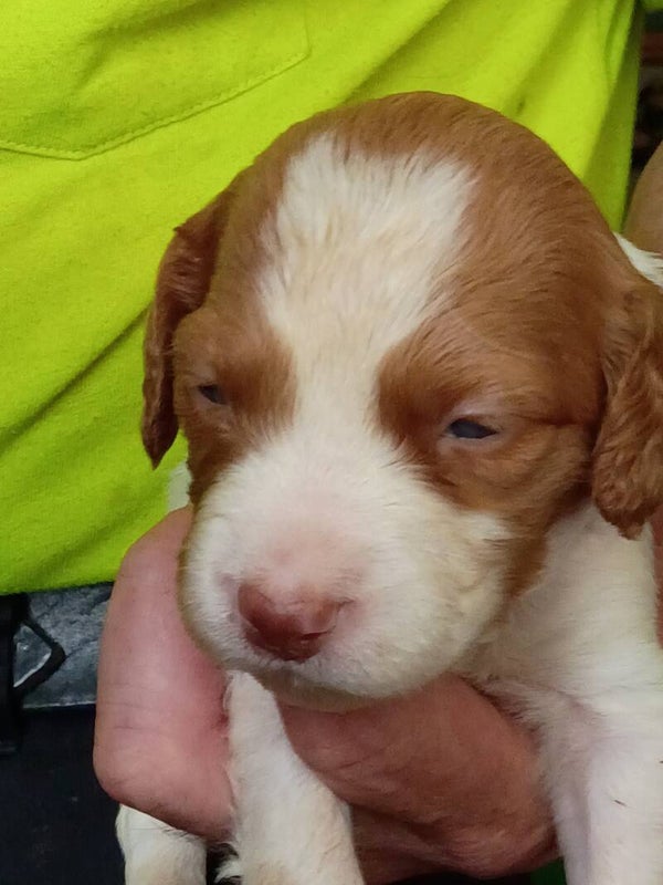 Boy #7