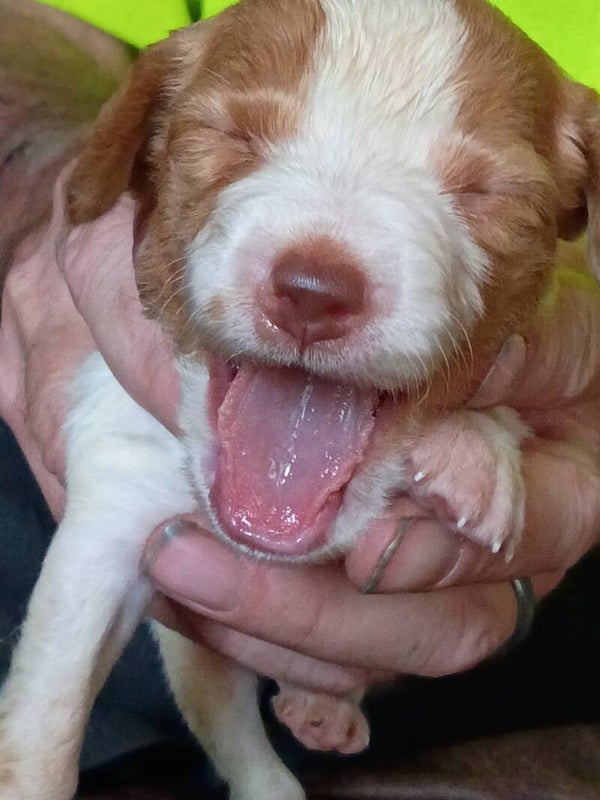 Boy #8