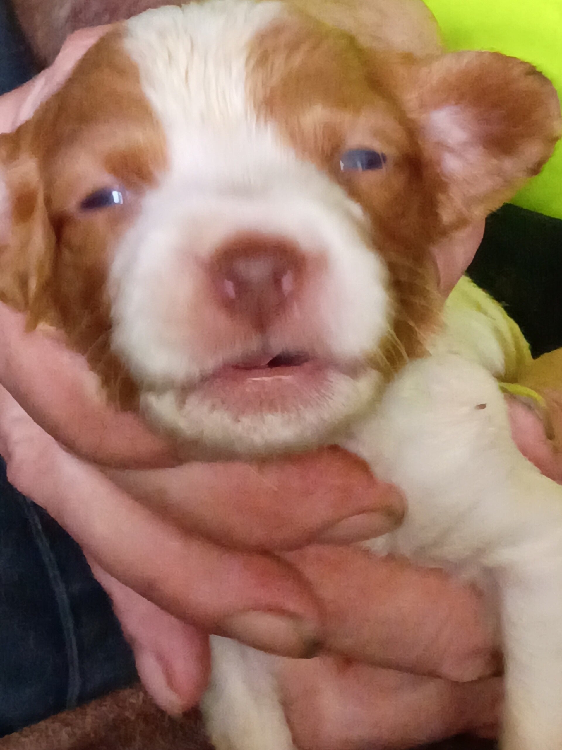 Boy #9