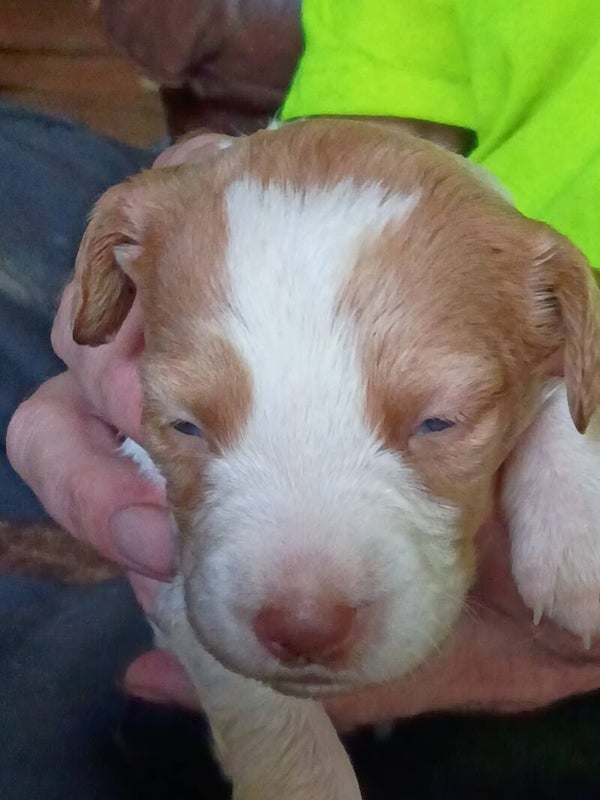 Girl #2