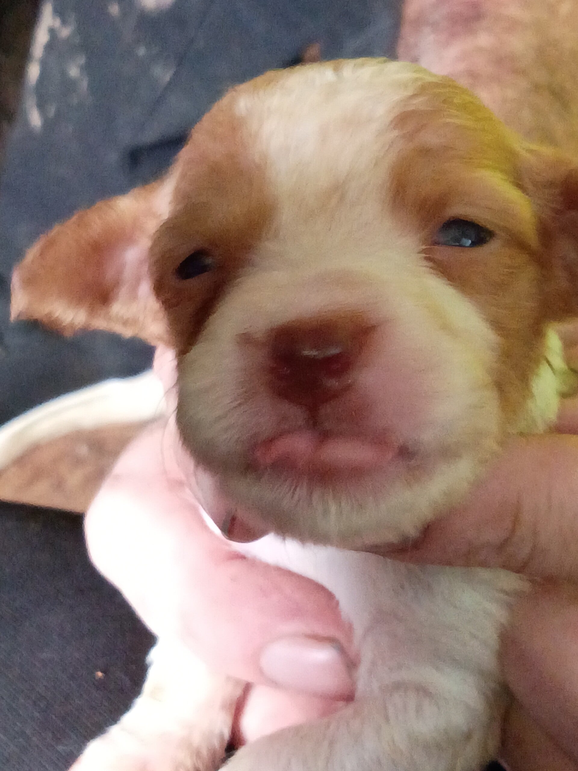 Girl #3