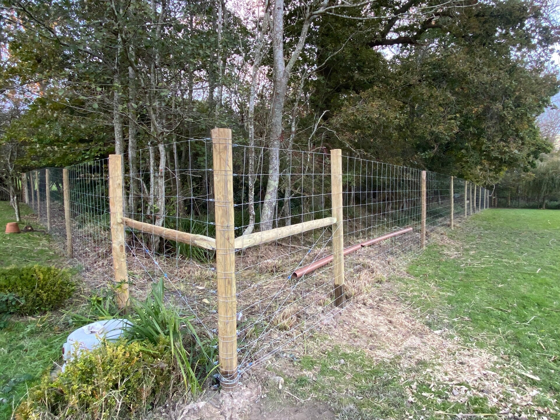 dog fence enclosure, tunbridge wells