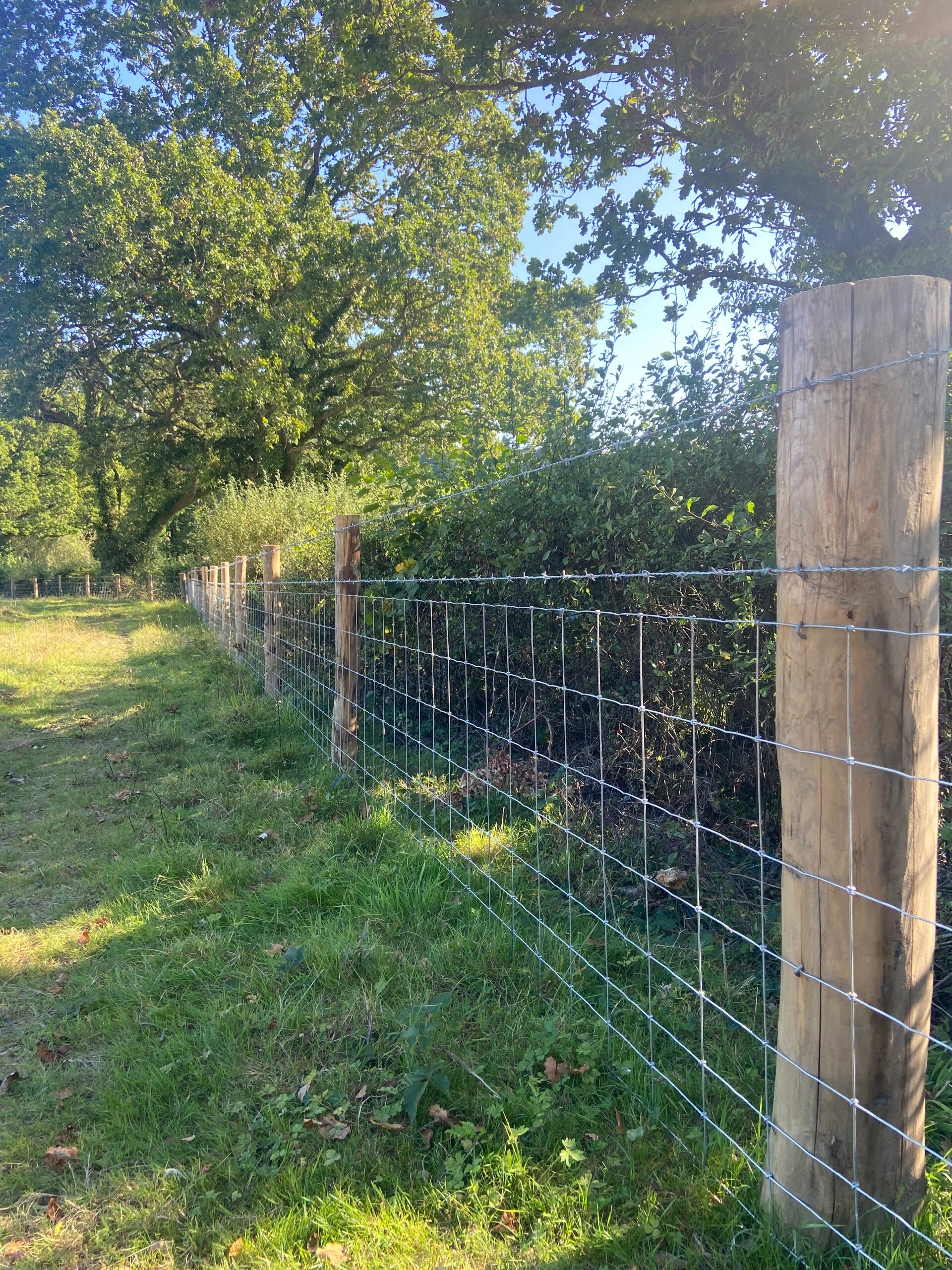 stock fencing, battle east sussex