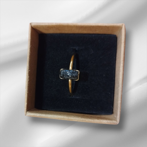 Ring elegance zwart goud