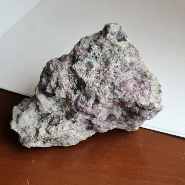 Robijn in matrix nr1768