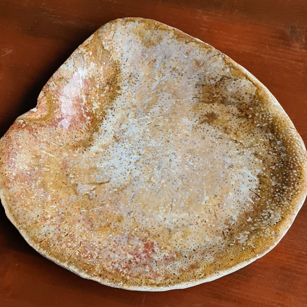 Versteend palmhout nr1236