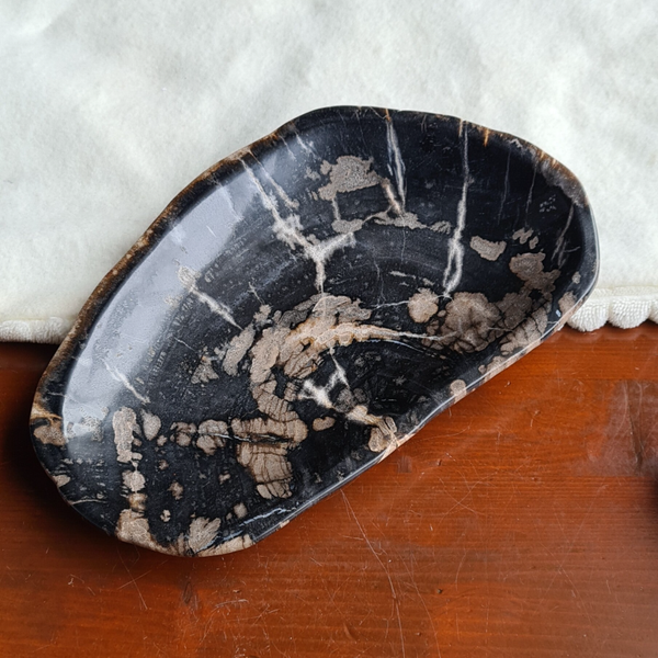 Versteend hout schaaltje nr2184