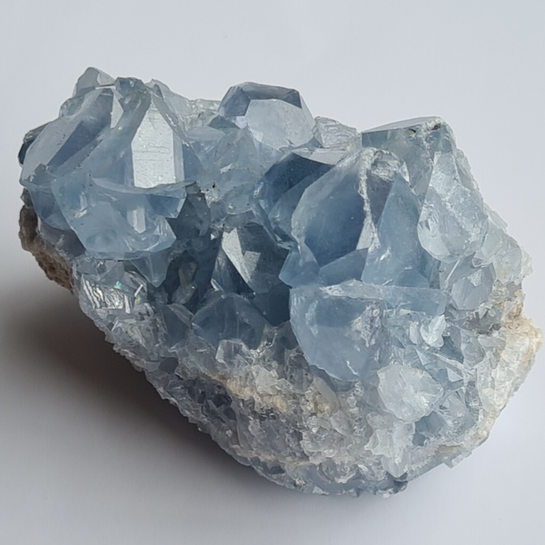 Celestien cluster nr950