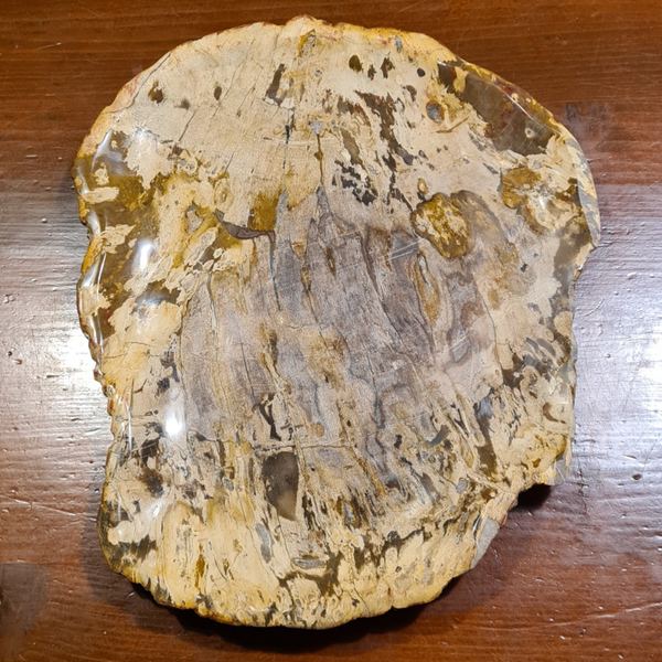 Palmhout schaal nr1192