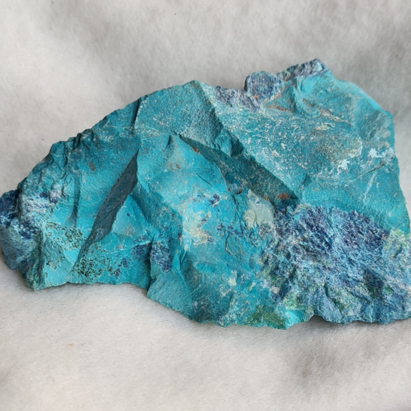 Quantum quattro nr1961