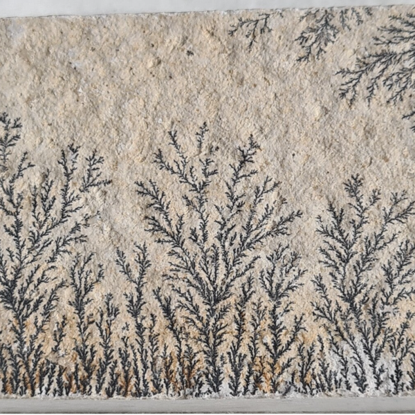 Mangaan dendrieten nr1959