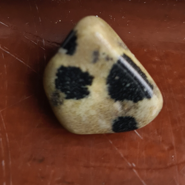 Werdiet cheeta serpentijn nr2271