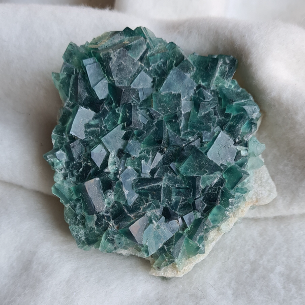 Fluoriet groen nr1937