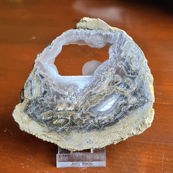 Versteend hout met chalcedoon nr1752