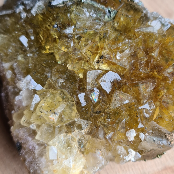 Fluoriet borniet nr875