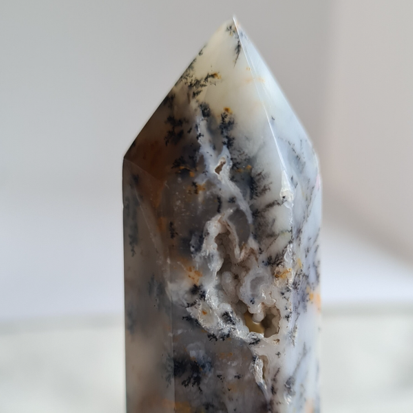 Agaat dendriet toren nr2009