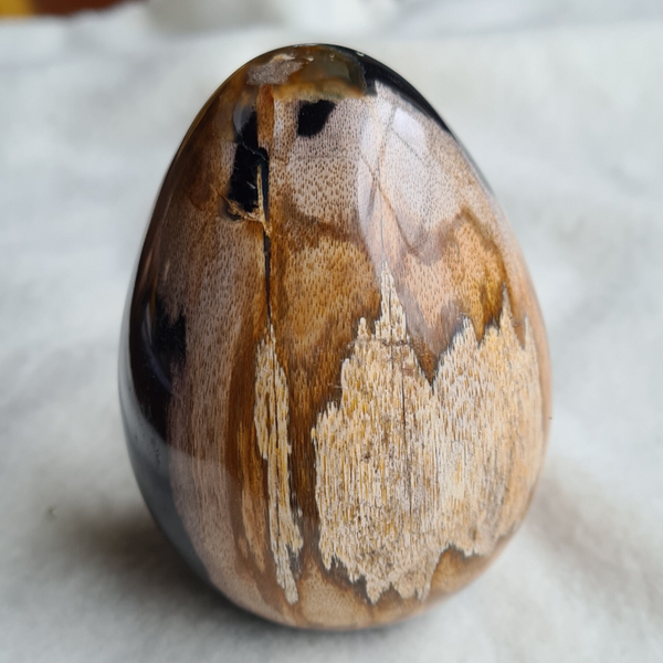 Versteend hout ei nr2114