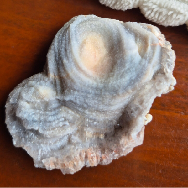 Chalcedoon roos nr2690