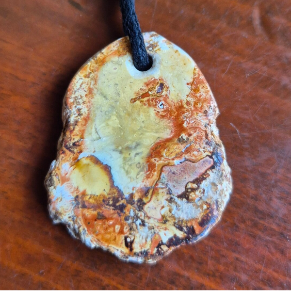 Versteend hout hanger nr2782