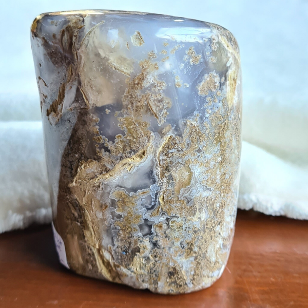 Versteend hout agaat nr1733