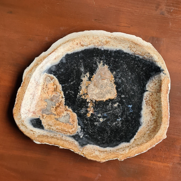 Versteend hout palmhout schaal nr1767