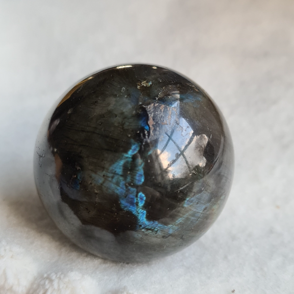 Labradoriet bol nr2170