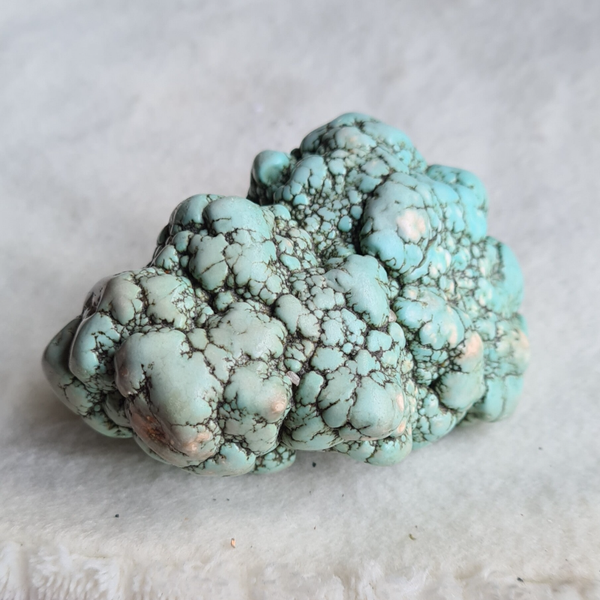 Howliet gekleurd nr2147