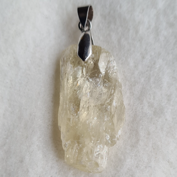 Hiddeniet hanger nr1223