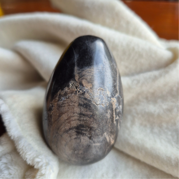 Versteend hout ei nr2584