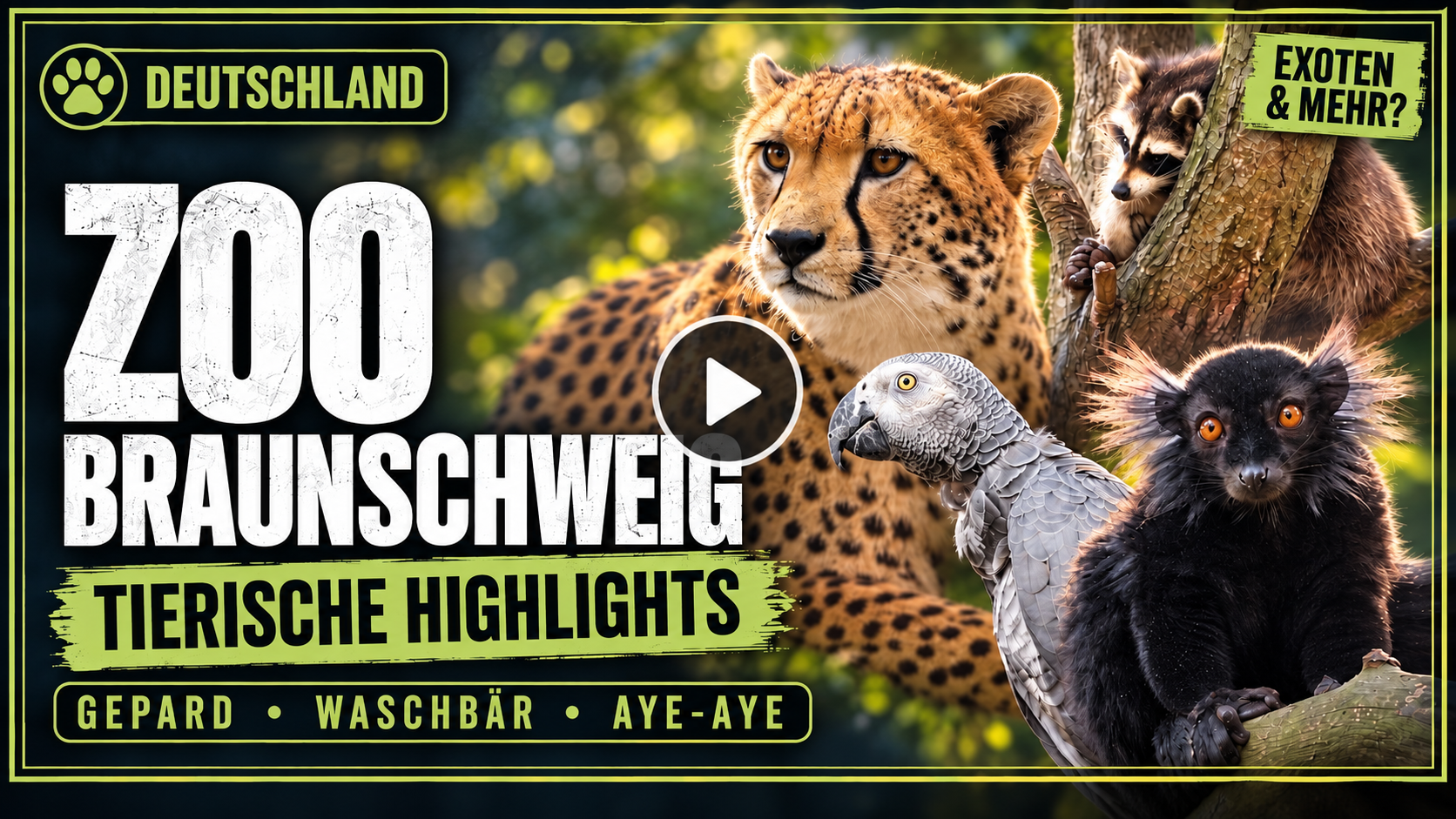 Zoo Braunschweig Video Cover
