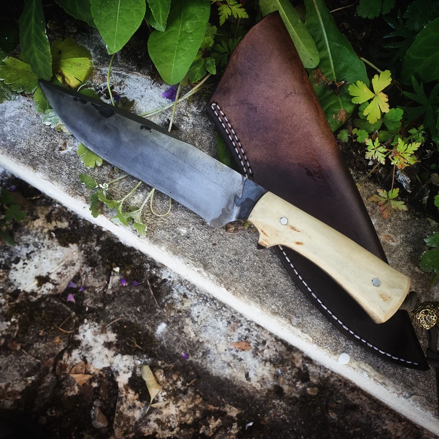 Gung Ho bowie