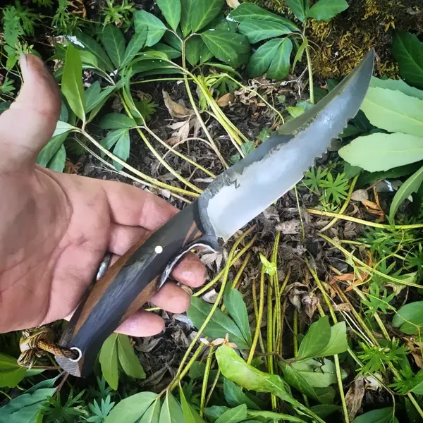 Sabertooh bowie