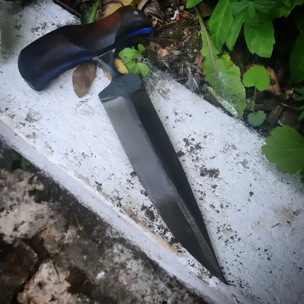 Brother of the Blade