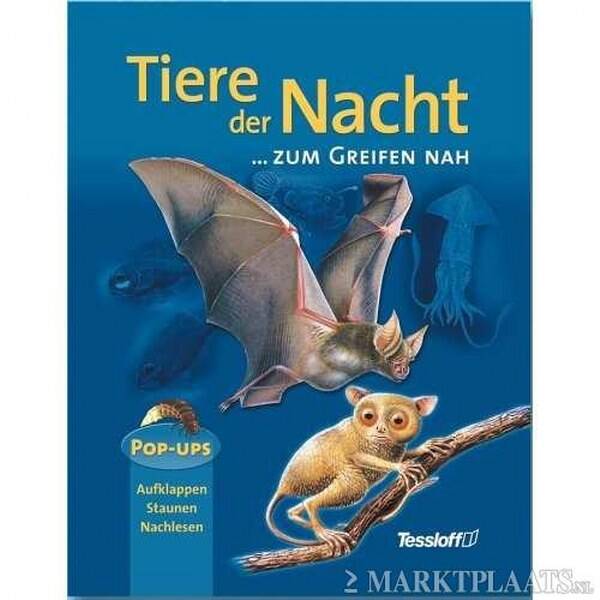Pop-upboek - Taylor - Tiere der Nacht