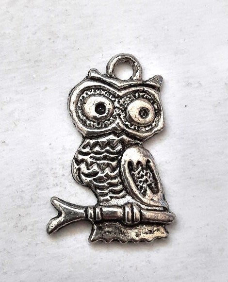 Leuk verzilverd hangertje Uil op tak (5365-94)