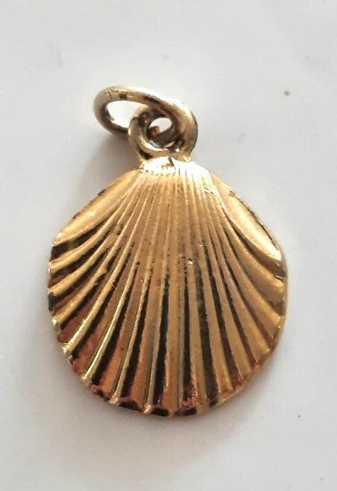 Mooie goudkleurige hanger kleine Jakobsschelp