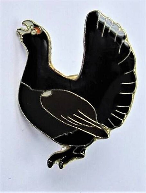 Auerhaan, auerhoen Cloisonné emaille steekbroche, pin (6960)
