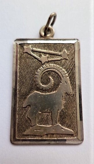 Zilveren hanger sterrenbeeld Steenbok, FB (7545)