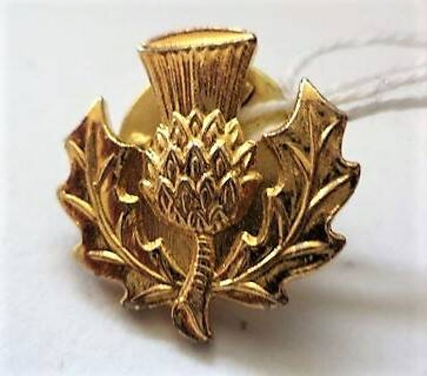 Nieuwe Schotse Distel steekbroche, verguld (7948-5544)