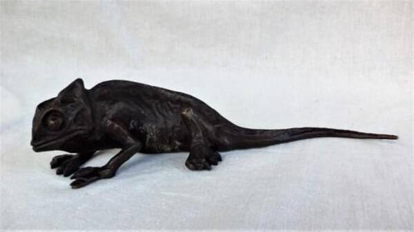 Antieke Wiener Bronze Kameleon – Franz Xaver Bergmann (Wien) (7993)