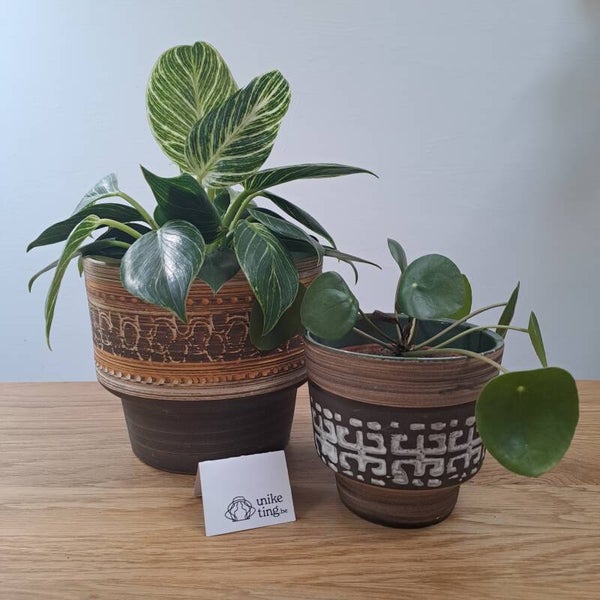 Set van 2 cache pots