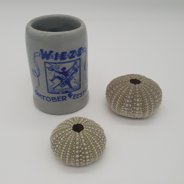 Bier souvenier Wieze Oktoberfeesten 1956